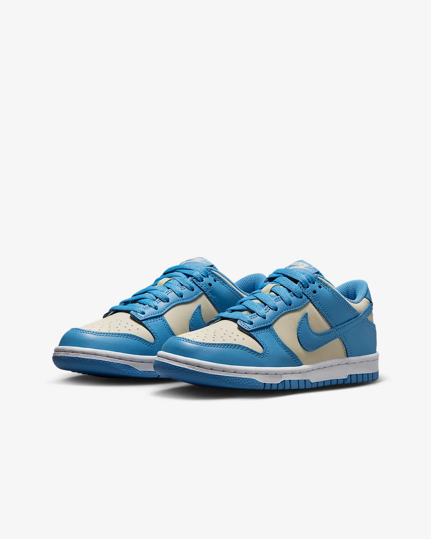 Nike Sb Dunk Blue