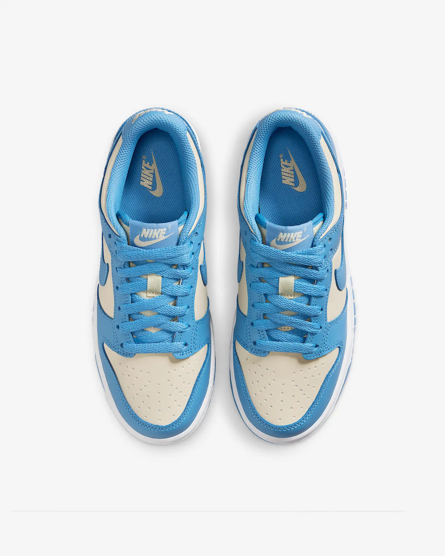 Nike Sb Dunk Blue
