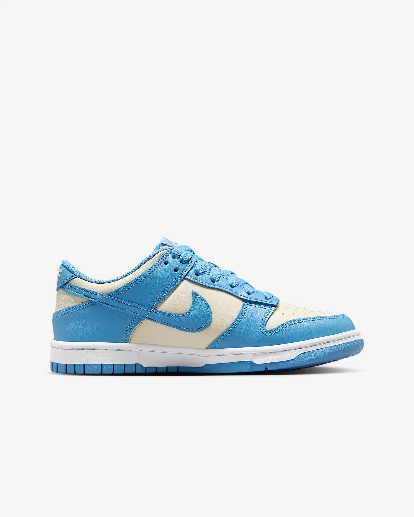 Nike Dunk Bleu