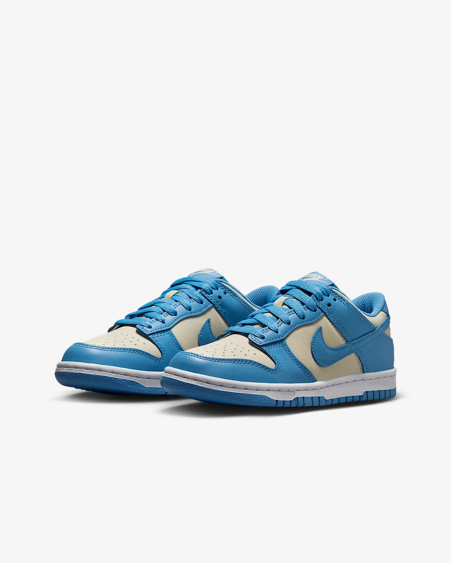 Nike Dunk Bleu